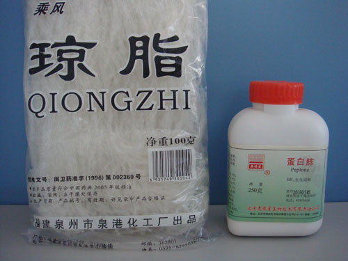 瓊脂